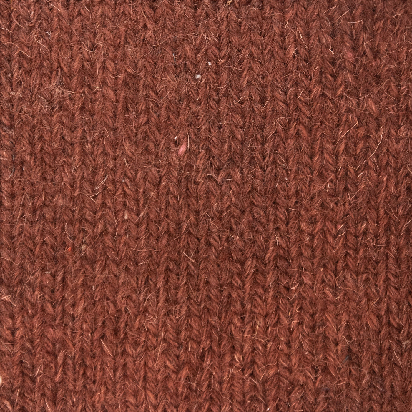 ESPIGA WOOL CARMEN