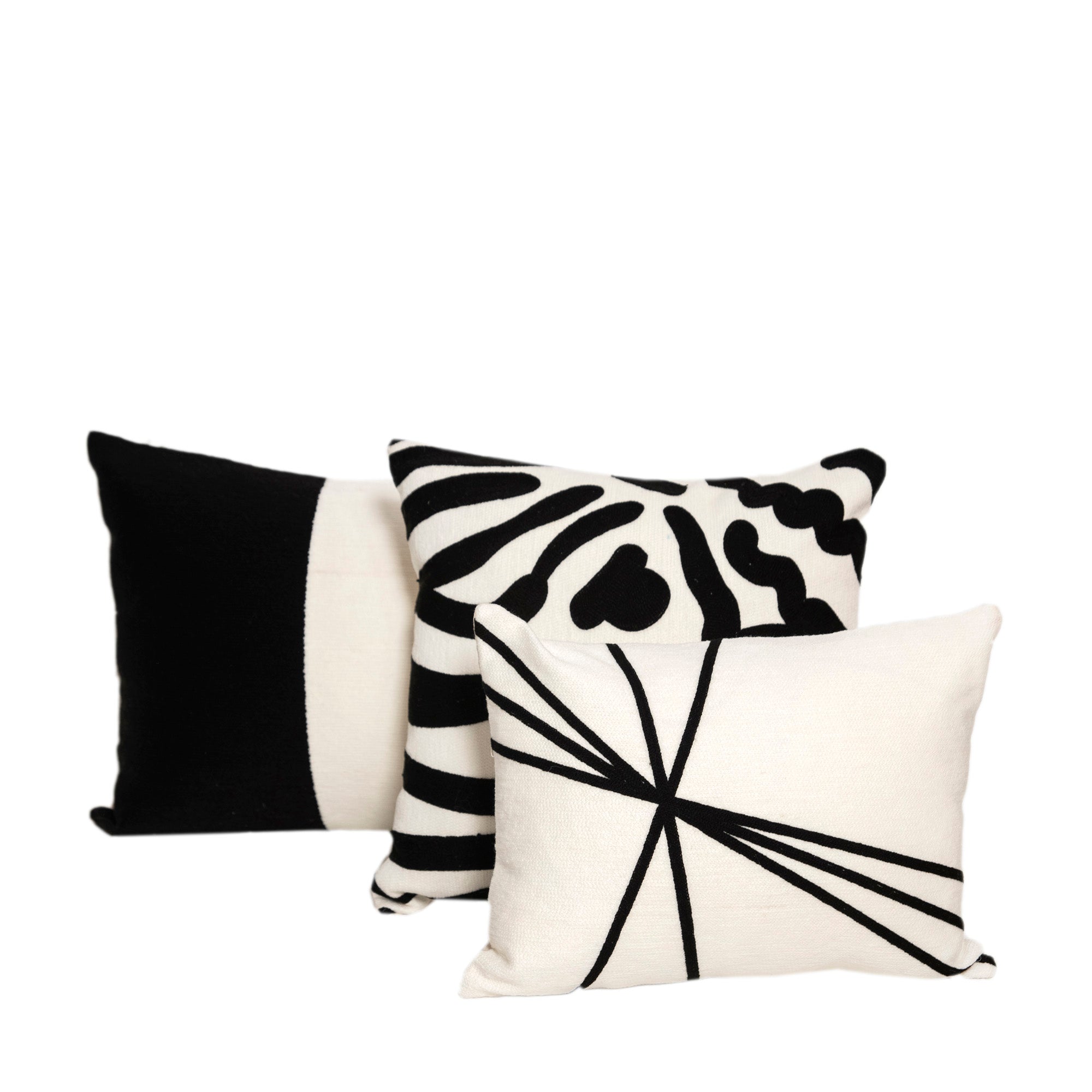 SAUVAGE BLANCO Y NEGRO 40X40