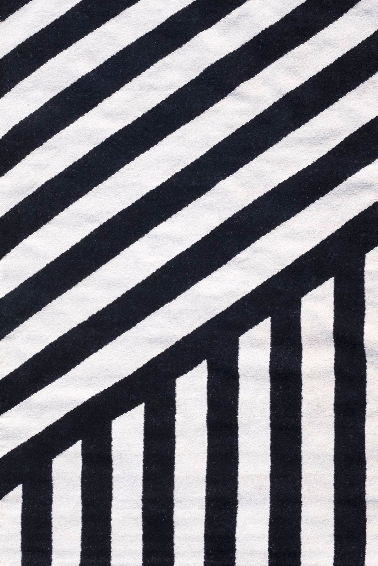 ZEBRA 2.0