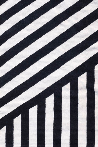 ZEBRA 2.0